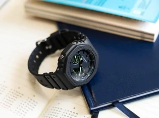 Часы мужские Casio GA-2100-1A3