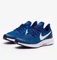 Кросівки дитячі Nike Air Zoom Pegasus 35 Younger Blue AH3482-404