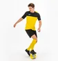 Футболка мужская Joma Winner Yellow 100946.901