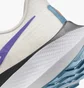 Кросівки жіночі Nike Pegasus 39 White Dh4072-006