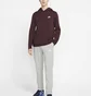 Штани чоловічі Nike Sportswear Club Fleece Grey BV2707-063