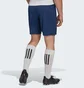 Шорты мужские Adidas Entrada 22 Shorts Blue H57506