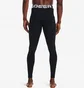 Леггинсы мужские Under Armour Cold Gear Armour Leggings Black 1366075-001