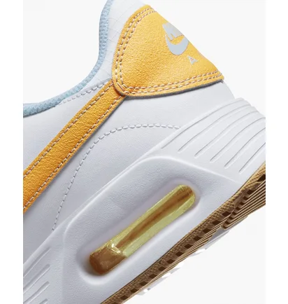 Кросівки чоловічі Nike Air Max Sc Shoes White FJ3997-100