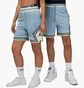 Шорты унисекс Air Jordan Dri-Fit Sport Diamond Shorts Light Blue DX1487-436