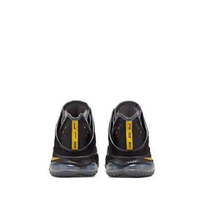 Кросівки унісекс Nike Lebron Xix Low "Witness" Black Dh1270-002