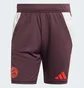 Шорты мужские Adidas Fc Bayern Tiro 24 Training Bordo IS9949