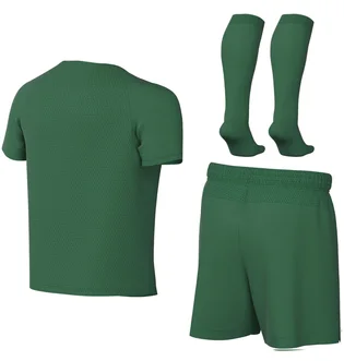 Комплект: футболки, шорти, шкарпетки Nike Park Viii Green HV8260-302