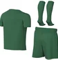 Комплект: футболки, шорти, шкарпетки Nike Park Viii Green HV8260-302