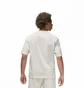 Футболка мужская Air Jordan Brand Wordmark Tee White FJ1969-141
