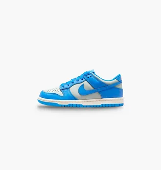 Кроссовки детские Nike Dunk Low Blue/Grey FB9109-004