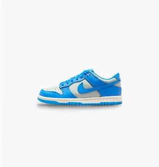 Кроссовки детские Nike Dunk Low Blue/Grey FB9109-004