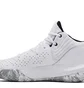 Кроссовки мужские Under Armour Jet 21 White 3024260-103