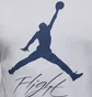 Футболка мужская Air Jordan Jumpman Flight White AO0664-102