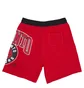 Шорты мужские Nike Nba Toronto Raptors Courtside 75 Red DD3269-657