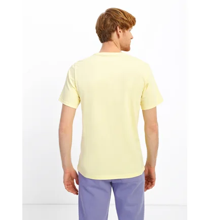 Футболка мужская Converse Mother Nature Tee Yellow 10023787-231