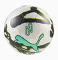 Футбольний м'яч Puma Neymar Jr Graphic White/Multi 085023-01