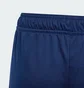 Шорты детские Adidas Tiro 24 Blue IR9369
