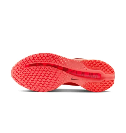 Кросівки жіночі Nike Pegasus Red HQ2593-802