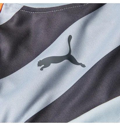 Лонгслив мужской Puma Stadium Gk Grey 702089-35