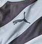 Лонгслив мужской Puma Stadium Gk Grey 702089-35