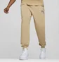 Штани чоловічі Puma Squad Sweatpants Tr Cl Beige 678972-83