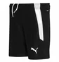 Шорты детские Puma Teamliga Black 704931-03