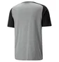 Футболка мужская Puma Teamcup Casuals Tee Grey 657992-13