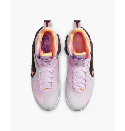 Кроссовки мужские Nike Lebron Ix King Of La Pink Dj3908-600