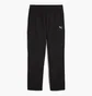 Штаны мужские Puma Wardrobe Ess Relaxed Black 629653-01