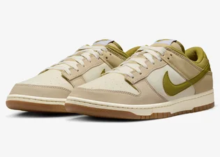 Кроссовки мужские Nike Dunk Low72 - Pacific Moss Beige HF4262-133