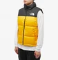Жилетка чоловіча The North Face 1996 Retro Nuptse Vest Yellow/Black NF0A3JQQZU3