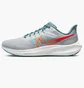 Кросівки чоловічі Nike Air Zoom Pegasus 39 Grey Dh4071-003
