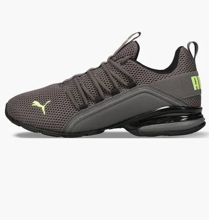 Кросівки чоловічі Puma Axelion Ls Training Shoes Brown 194384-09