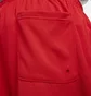 Шорты мужские Nike Club Mesh Flow Shorts Red DX0735-657