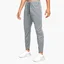 Штаны мужские Nike Dri-Fit Phenom Elite Grey Dq4740-084
