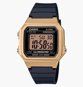 Часы мужские Casio W-217Hm-9Avef