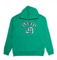 Худі чоловіче Air Jordan Zone 23 Hoodie Green DX4256-324