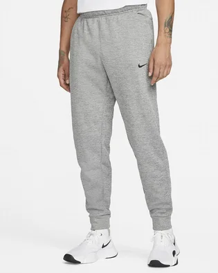 Штаны мужские Nike Therma-Fit Grey Dq5405-063