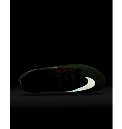 Кросівки чоловічі Nike Air Zoom Rival Fly 3 Green Dz4775-304