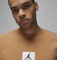 Свитшот мужской Air Jordan Essentials Brown FB6932-231