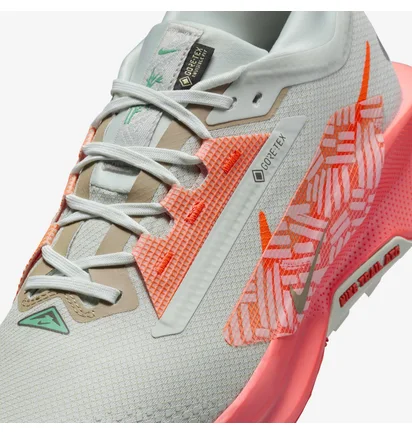 Кроссовки мужские Nike Pegasus Trail 5 Gtx Grey/Orange FQ0908-004