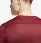 Футболка мужская Nike Park Vii Bordo Bv6708-677