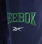 Штаны мужские Reebok Classics Varsity Blue Ic1939