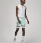 Шорти чоловічі Air Jordan Sport Dri-Fit White DM1813-100