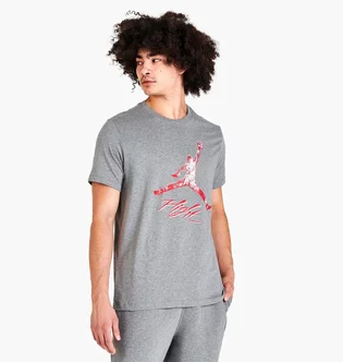 Футболка мужская Air Jordan Essentials Jumpman Logo T-Shirt Grey Dq7376-091