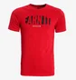 Футболка мужская Nike Air Jordan Red AQ3697-687