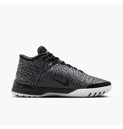 Кроссовки мужские Air Jordan Lebron Nxxt Genisus Black/White HF0712-004
