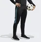 Штаны мужские Adidas Tiro 23 Club Training Pants Black Ic1586