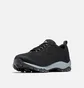 Кроссовки мужские The North Face Firecamp Remesh Black 1826981-010